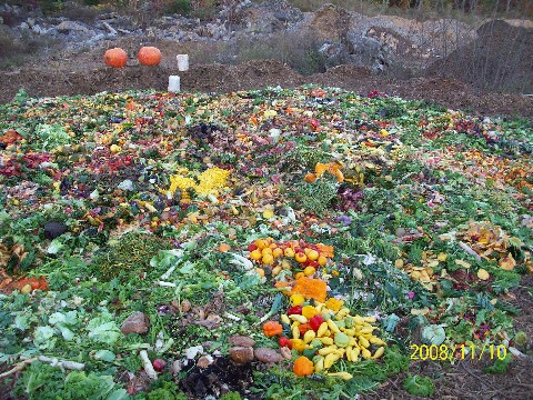 Whole Foods Composting 11 10 08 029 Medium Web view.jpg